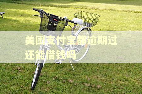 美团支付宝都逾期过还能借钱吗