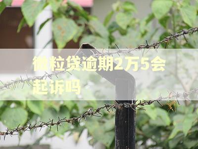微粒贷逾期2万5会起诉吗