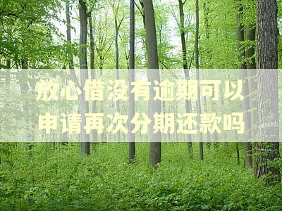 放心借没有逾期可以申请再次分期还款吗
