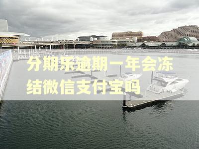 分期乐逾期一年会冻结微信支付宝吗