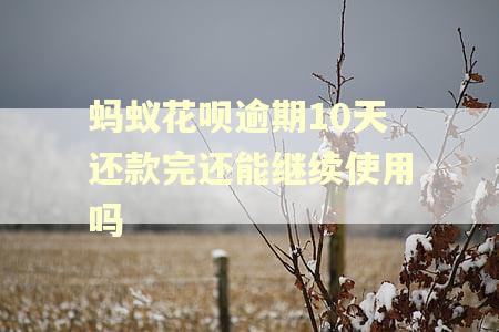 蚂蚁花呗逾期10天还款完还能继续使用吗
