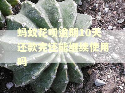 蚂蚁花呗逾期10天还款完还能继续使用吗
