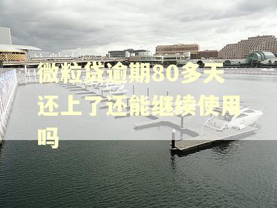 微粒贷逾期80多天还上了还能继续使用吗