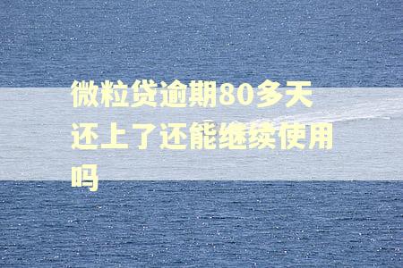微粒贷逾期80多天还上了还能继续使用吗