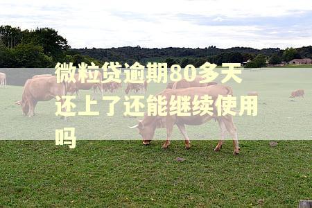 微粒贷逾期80多天还上了还能继续使用吗