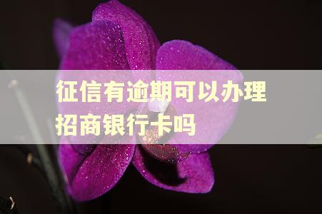 征信有逾期可以办理招商银行卡吗 征信有逾期可以办理招商银行卡吗