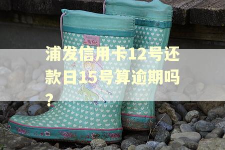浦发信用卡12号还款日15号算逾期吗? 浦发信用卡12号还款日15号算逾期吗?