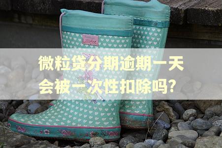 微粒贷分期逾期一天会被一次性扣除吗?