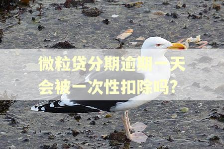 微粒贷分期逾期一天会被一次性扣除吗?