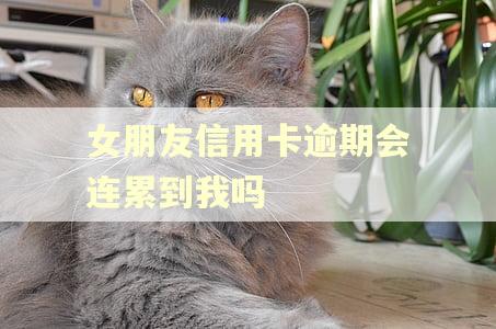 女朋友信用卡逾期会连累到我吗
