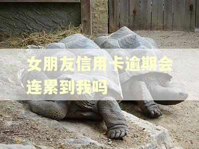 女朋友信用卡逾期会连累到我吗