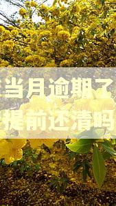房贷当月逾期了还能申请提前还清吗 房贷当月逾期了还能申请提前还清吗