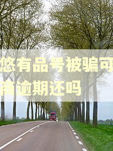 悠悠有品号被骗可以协商逾期还吗
