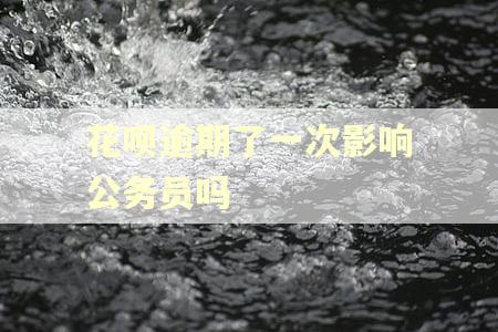 花呗逾期了一次影响公务员吗