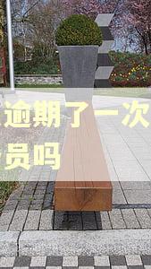花呗逾期了一次影响公务员吗