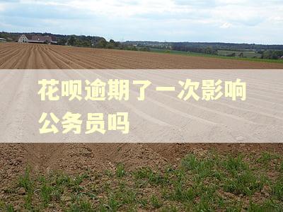 花呗逾期了一次影响公务员吗 花呗逾期了一次影响公务员吗