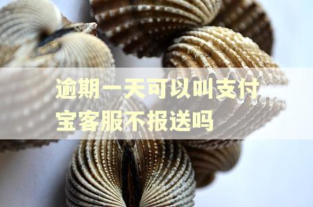 逾期一天可以叫支付宝客服不报送吗