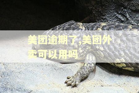 美团逾期了,美团外卖可以用吗