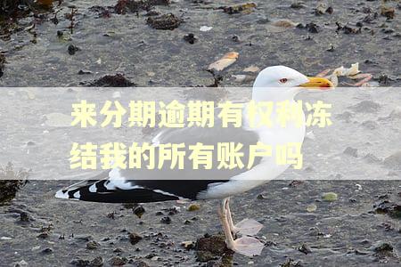 来分期逾期有权利冻结我的所有账户吗