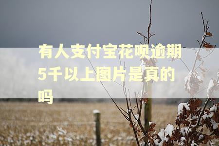 有人支付宝花呗逾期5千以上图片是真的吗