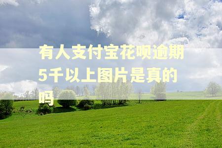 有人支付宝花呗逾期5千以上图片是真的吗