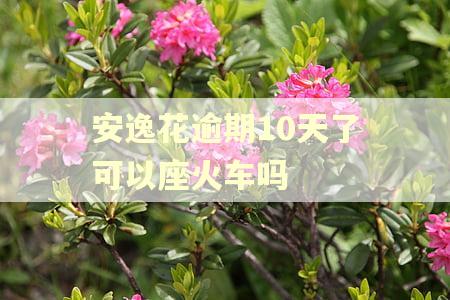 安逸花逾期10天了可以座火车吗