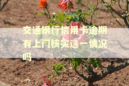 交通银行信用卡逾期有上门核实这一情况吗