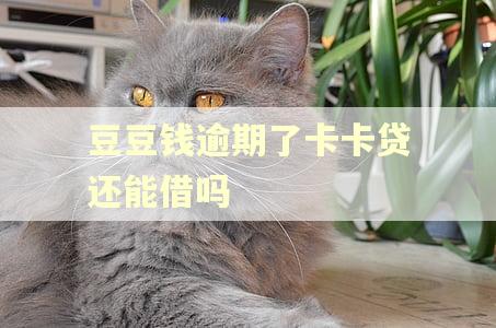 豆豆钱逾期了卡卡贷还能借吗