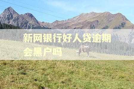 新网银行好人贷逾期会黑户吗