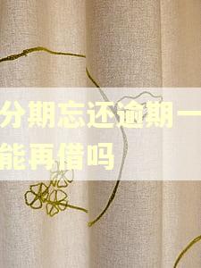 好分期忘还逾期一天还能再借吗