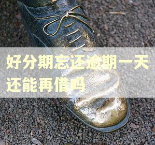 好分期忘还逾期一天还能再借吗 好分期忘还逾期一天还能再借吗