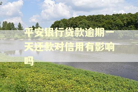 平安银行贷款逾期一天还款对信用有影响吗