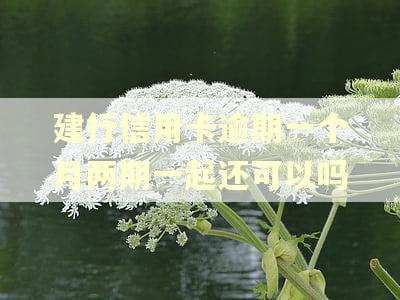 建行信用卡逾期一个月两期一起还可以吗