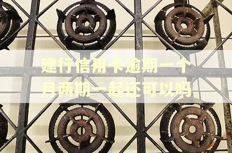 建行信用卡逾期一个月两期一起还可以吗 建行信用卡逾期一个月两期一起还可以吗