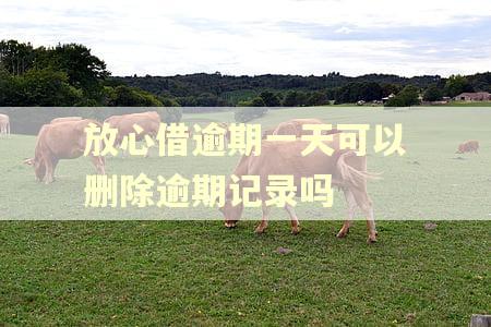 放心借逾期一天可以删除逾期记录吗