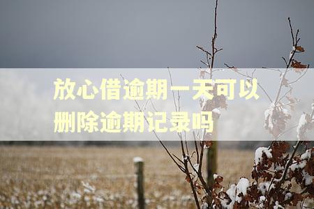 放心借逾期一天可以删除逾期记录吗 放心借逾期一天可以删除逾期记录吗