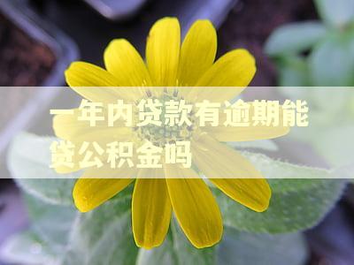 一年内贷款有逾期能贷公积金吗