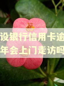 建设银行信用卡逾期半年会上门走访吗 建设银行信用卡逾期半年会上门走访吗