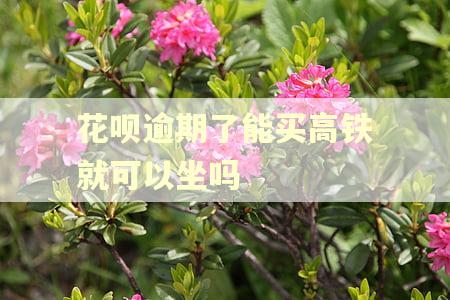 花呗逾期了能买高铁就可以坐吗