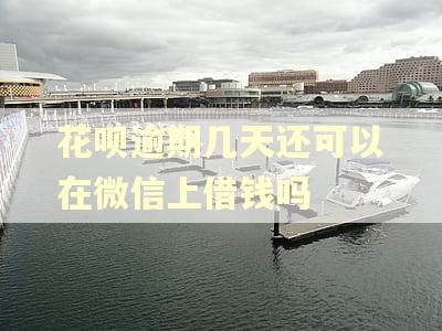花呗逾期几天还可以在微信上借钱吗