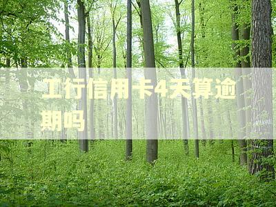 工行信用卡4天算逾期吗 工行信用卡4天算逾期吗