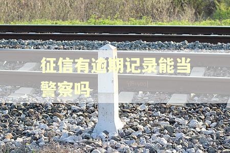征信有逾期记录能当警察吗