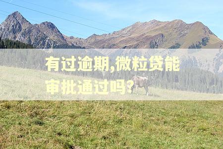有过逾期,微粒贷能审批通过吗?