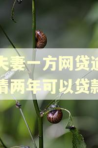 两夫妻一方网贷逾期还清两年可以贷款吗