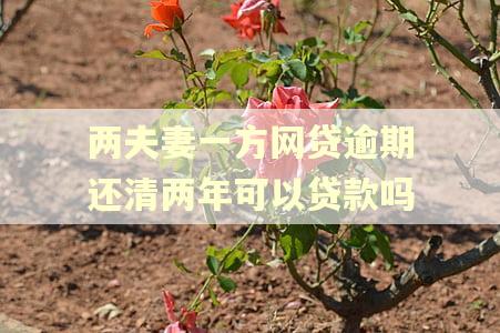 两夫妻一方网贷逾期还清两年可以贷款吗