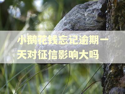 小鹅花钱忘记逾期一天对征信影响大吗 小鹅花钱忘记逾期一天对征信影响大吗