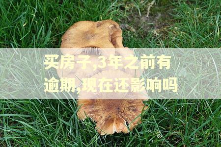 买房子,3年之前有逾期,现在还影响吗