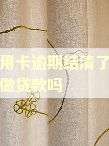信用卡逾期结清了可以做贷款吗