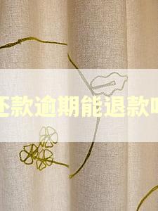 还款逾期能退款吗