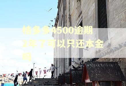 桔多多4500逾期2年了可以只还本金吗